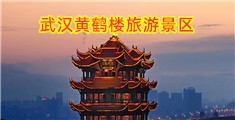 蜜乳大鸡吧操比网站